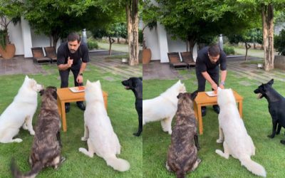 পোষ্যদের সঙ্গে নিয়েই জন্মদিনের কেক কাটলেন এমএস ধোনি