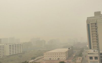 দিল্লিতে বায়ুদূষণের জেরে অনুশীলন বাতিল বাংলাদেশের