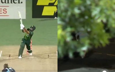 NZ vs PAK: Fan hilariously runs away with the ball after Fakhar Zaman’s six lands outside the stadium