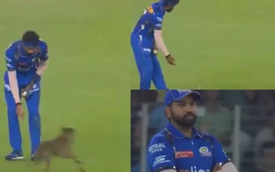 WATCH: Dog invades pitch during GT vs MI clash in IPL 2024; Hardik Pandya’s reaction goes viral