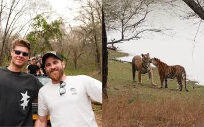 IPL 2024 [In pics]: Kane Williamson, Spencer Johnson and other GT cricketer visit Ranthambore National Park in Rajasthan