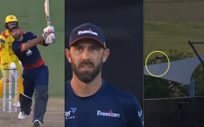 WATCH: Glenn Maxwell sends the ball out of the park with a monstrous six against Mohammad Mohsin | MLC 2024, WF vs TSK