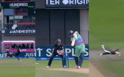 WATCH: Wayne Madsen takes an incredible catch to dismiss Will Jacks in The Hundred 2024