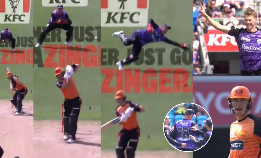 WATCH: Ben McDermott’s incredible one handed catch of Finn Allen in the BBL 2024-25