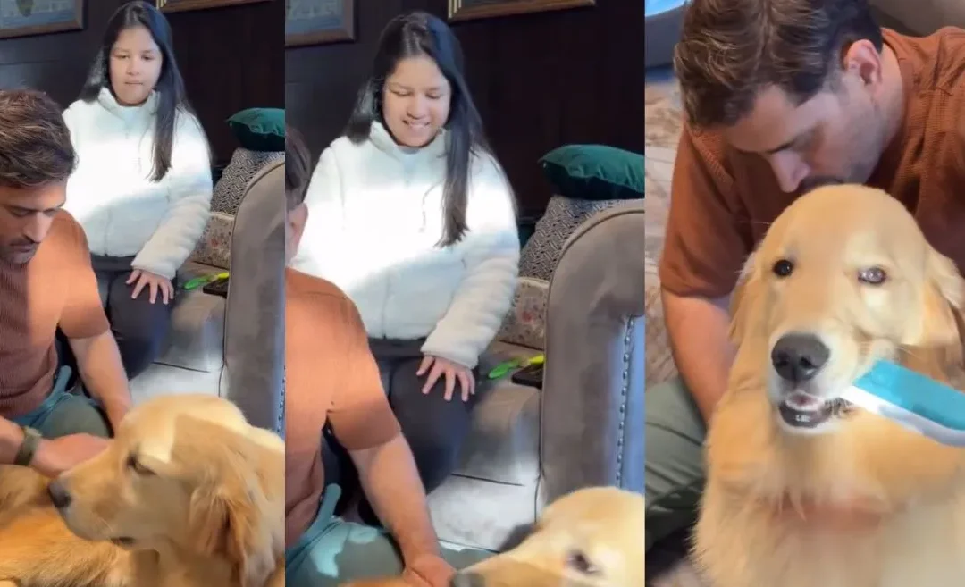 WATCH: MS Dhoni and his daughter Ziva share a ‘Therapawtic’ moment grooming their dog