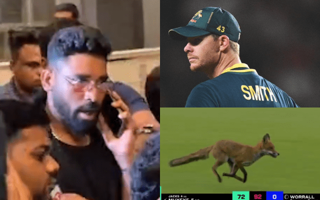 SM Trends: 6 अगस्त के शानदार Tweet और Video के बारे में यहां जाने, जो काफी तेजी से हो रहे हैं वायरल