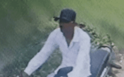 Women’s World Cup 2025: इंदौर में दो ऑस्ट्रेलियाई महिला क्रिकेटरों से छेड़छाड़ करने वाला युवक गिरफ्तार